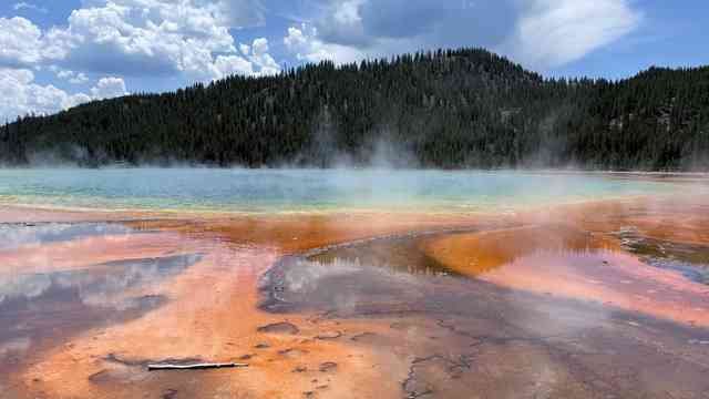 IMG-20250703-WA0013