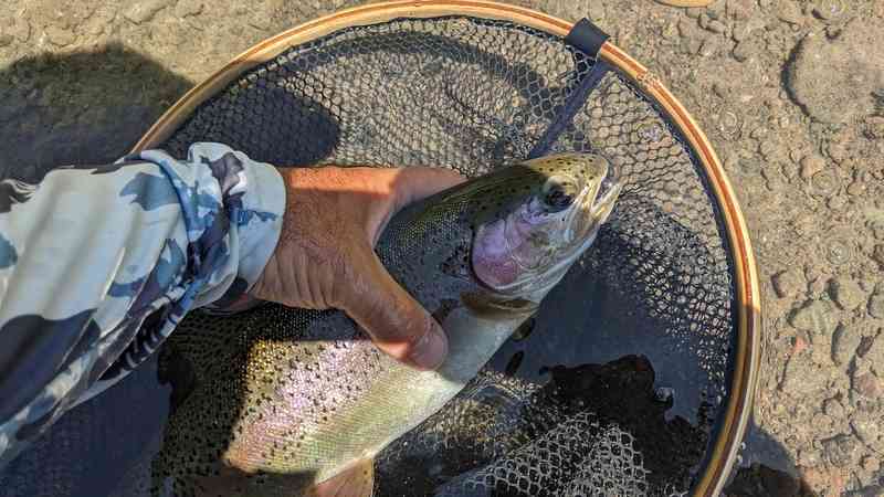 PXL_20250707_193105312