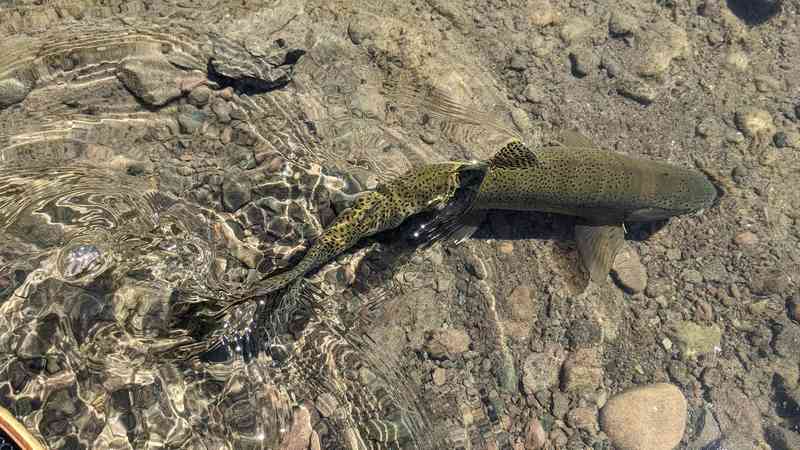 PXL_20250707_193112736