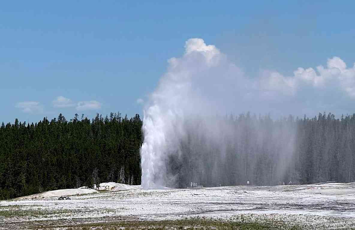 IMG-20250701-WA0098
