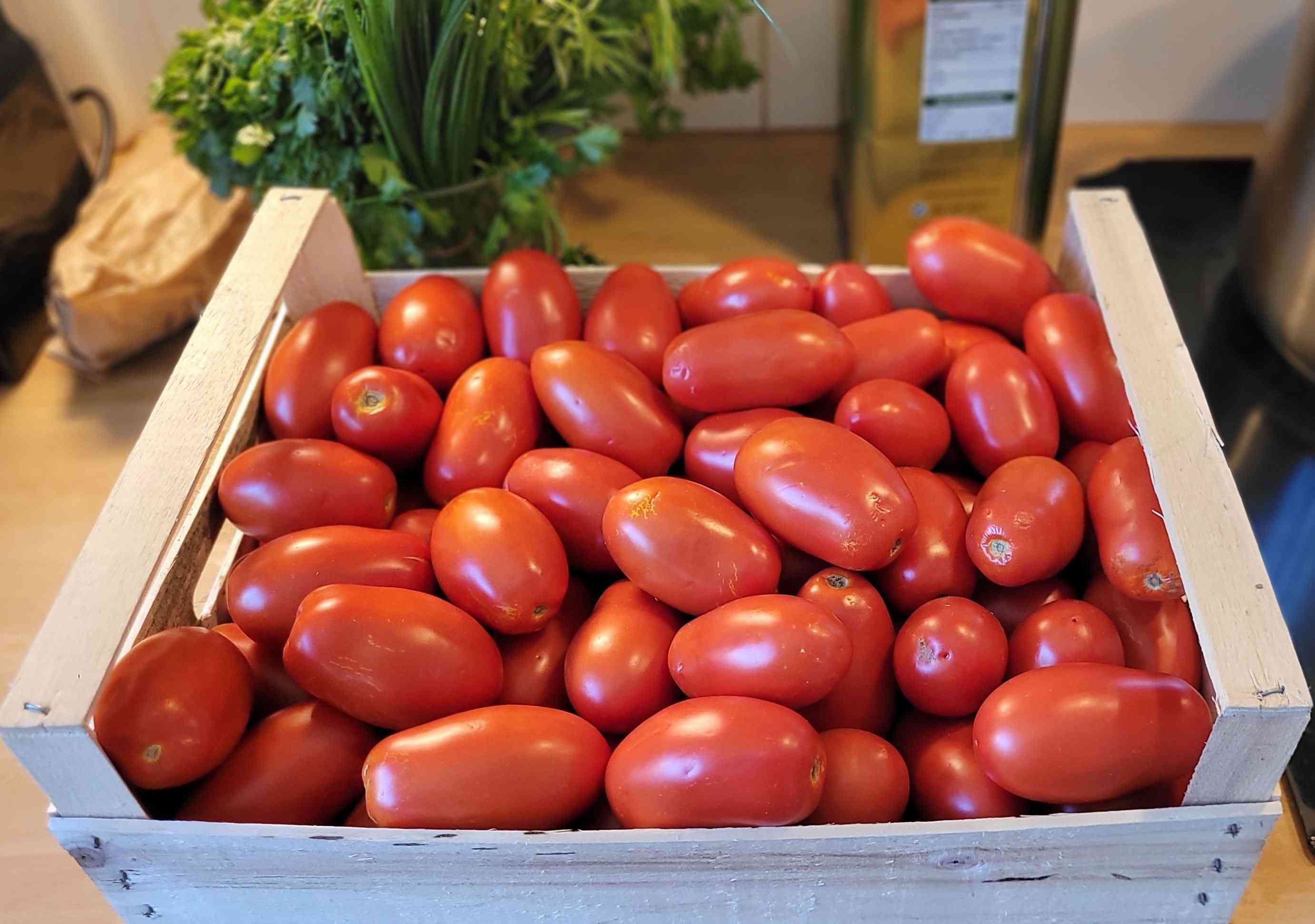Concentré de tomates 2
