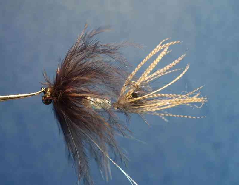 Streamer 1 (Copy)