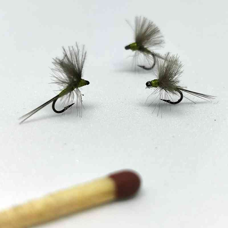 IMG_20191021_224256 copie