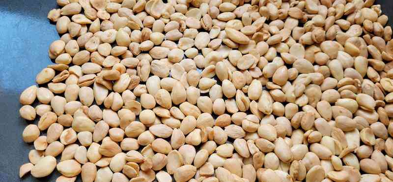 Nougat 1 (Copy)