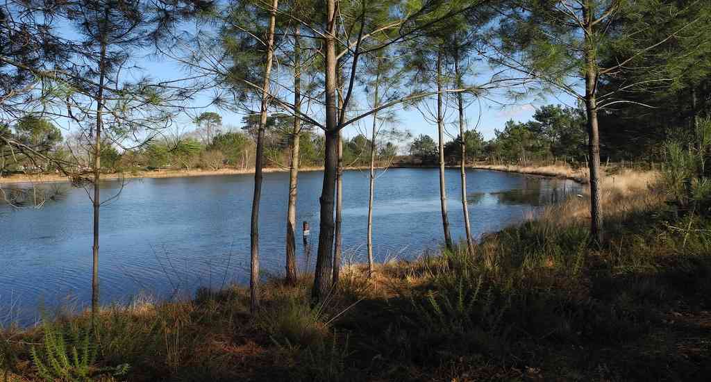 46290911714_852ce2c871_b