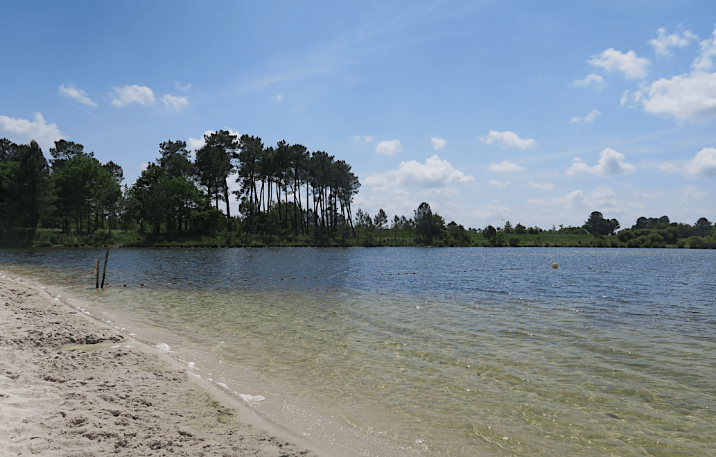 e2dddd998278-Design-sans-titre-22-