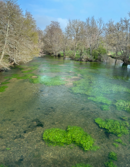 Capture d’écran 2025-11-04 111914