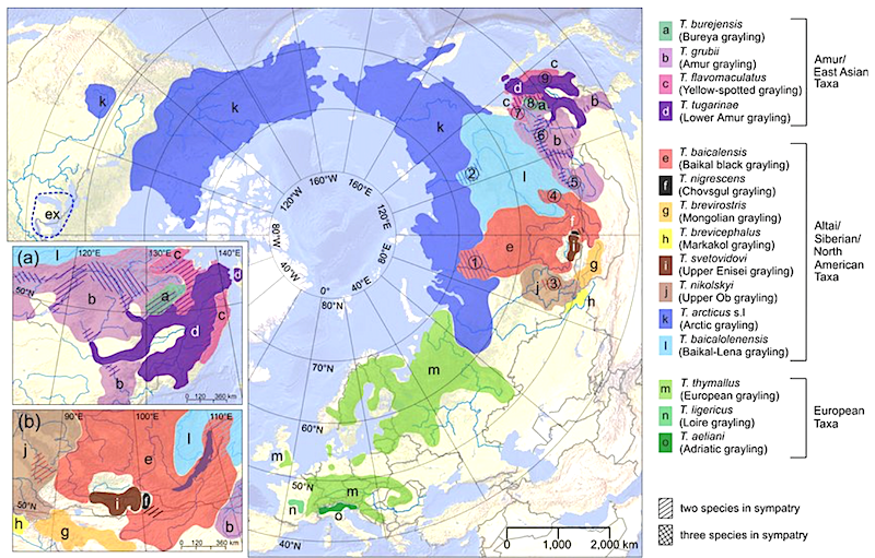 Capture d’écran 2025-11-26 à 10.52.01