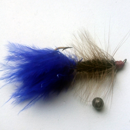 Site (01/21) Seagull29