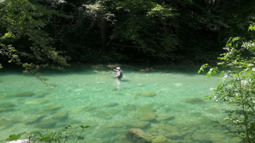 Pierrot sur la Sava Bohinjka (Slovénie)