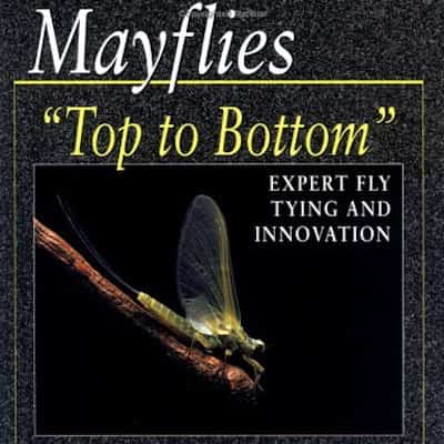 MAYFLIES TOP THE BOTTOM (2002)