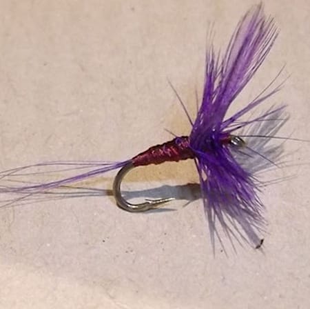 Montage avancé No. 811 de Lapoisse (échange de mouches 01-03/23)