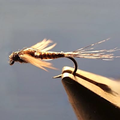 ANR et variations de Blajoux (échange de mouchges 07-09/21)