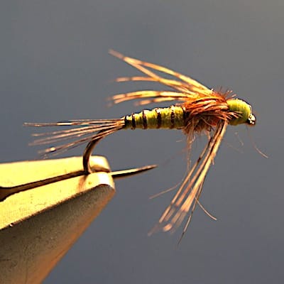 ANR à bille (échange de mouches 07-09/21)