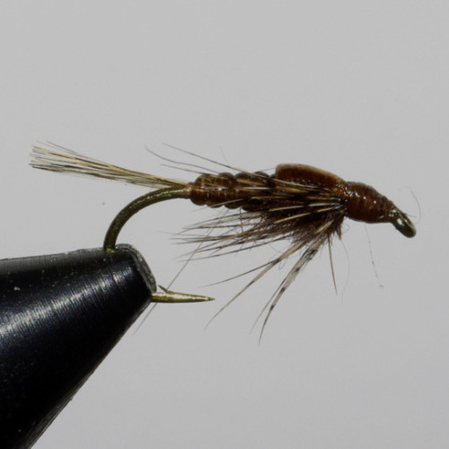 ANR modèle de MIG  (échange de mouches 07-09/21)