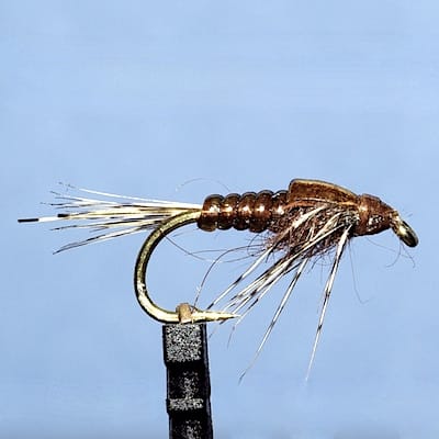 ANR modèle de MIG  (échange de mouches 07-09/21)