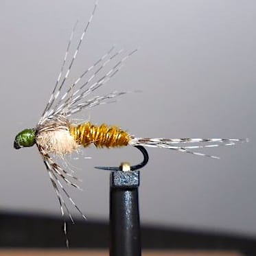 ANR sarcelle de Héron33 (échange de mouches 07-09/21)