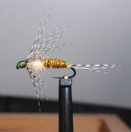 ANR sarcelle de Héron33 (échange de mouches 07-09/21)