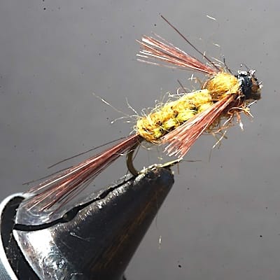 ANR corps tissé de Eric06 (échange de mouches 07-09/21)