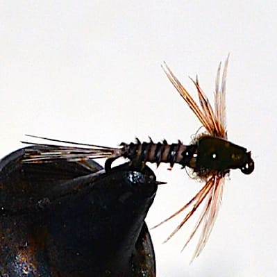 ANR et variations de Blajoux (échange de mouchges 07-09/21)