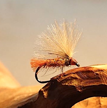 Mouches indispensables