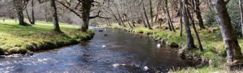 Plateau Millevaches, Haute-Vienne