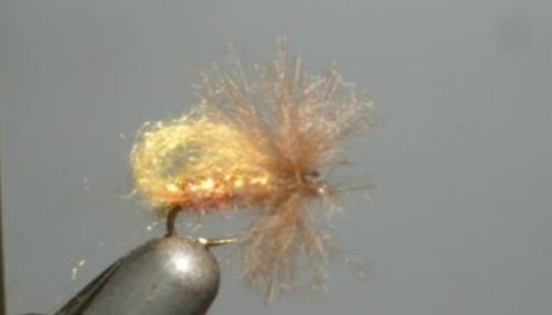 Bubble sedge (ancien échange de mouches)