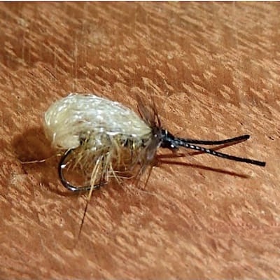 Bubble sedge (ancien échange de mouches)