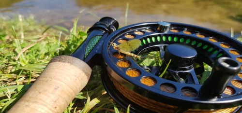 Éphéméra Danica, au bord de la rivière Dordogne