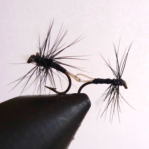 Black gnat tandem de Coujou (échange de mouches 03-05/21)