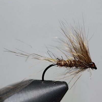 March brown Lièvre et ORC