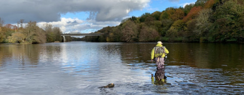 TONIO sur la Vienne à Limoges (87)