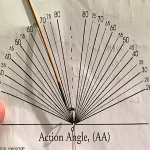Site (03/21) FRED 06