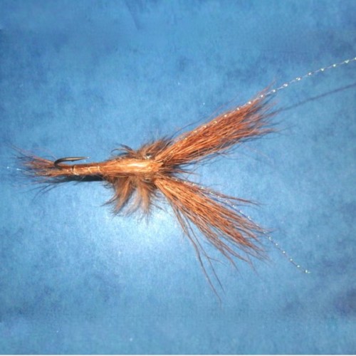 Ecrevisse (échange de mouches 01-03/21)