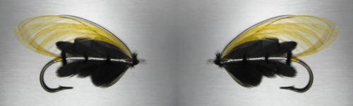 The Black Prince - par Lapoisse