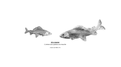 Dessins de Hélène Préveraud