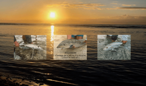 Guadeloupe et pêche à la mouche