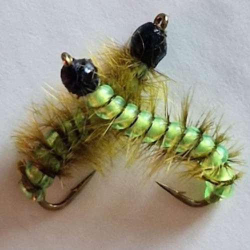 Chenille verte de Naej72 (échange de mouches 09-11/22)