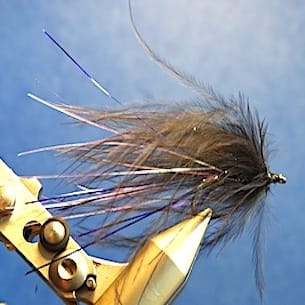 Chocklett’s streamer sangsue 