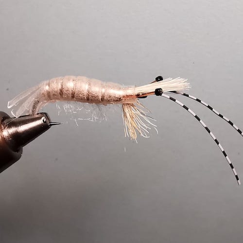 Crevette thermo de Pierrot(échange de mouches 01-03/21)