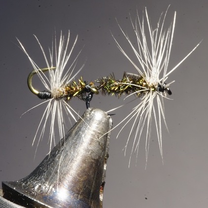 Mouche tandem de Eric06 (écgange de mouches 03-05/21)