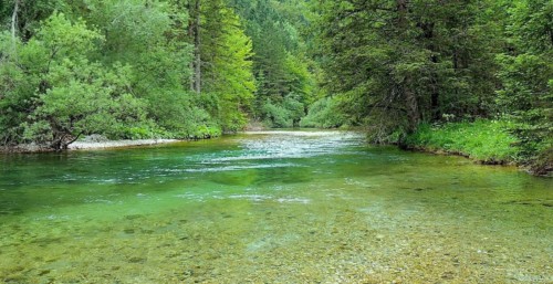 La magnifique Radovna (Slovénie)