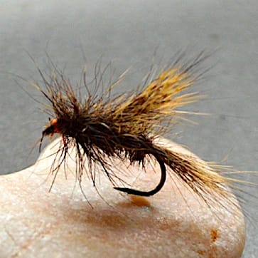 L'orque, tout en ORC (échange de mouches 11/2020 - 01/2021)