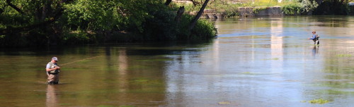 La Touvre (Charente) 2 pêcheurs en action
