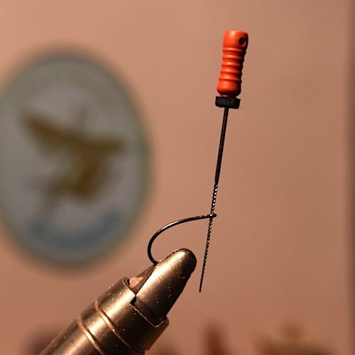 Forum (11/20) Cornelius