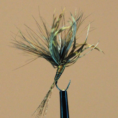 Devaux 699, façon Roncallo