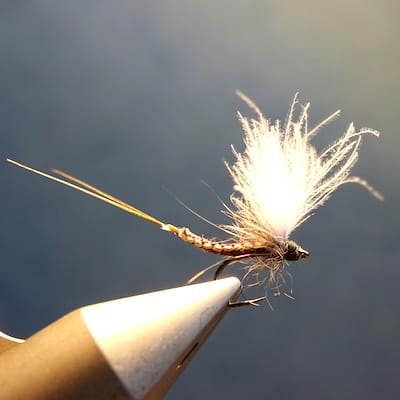 Corps détaché tissé - Ecdyo et olive