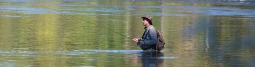 Éclotron 2021 Antton