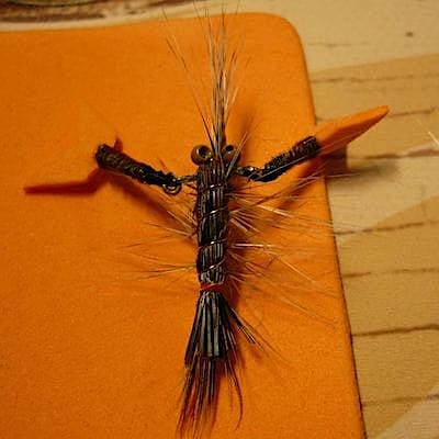 Ecrevisse de Jü (échange de mouches 01-03/21)