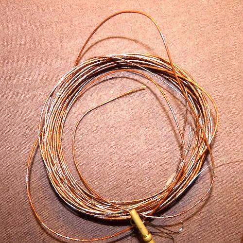 Forum (06/20) Seagull29